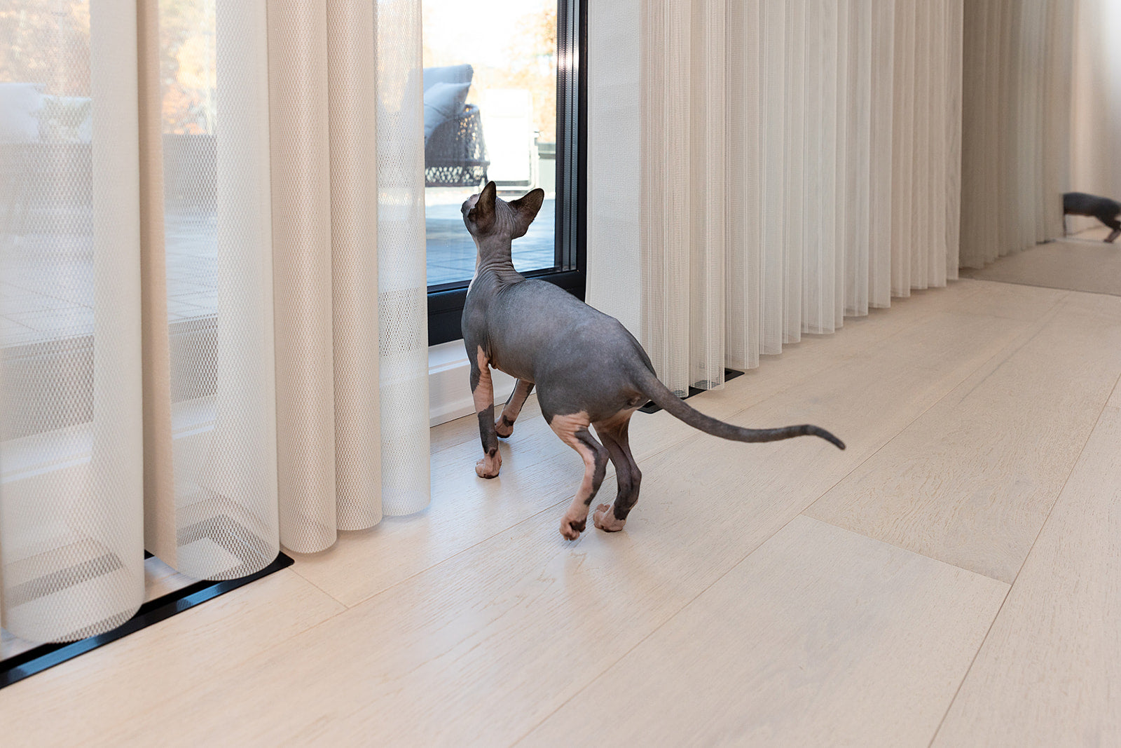 Modern Blinds Effect 